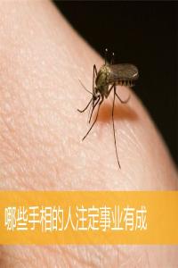 哪些手相的人注定事業有成