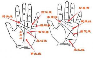 手相怎么看愛情，哪種手相的人不懂浪漫？