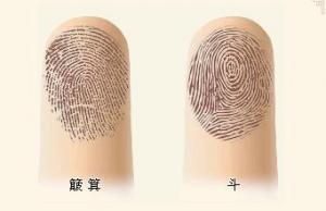 兩位緣主，提供指紋樣式，算一下他們的命理運勢
