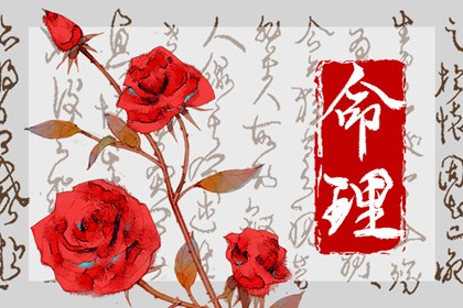 屬猴1992劍鋒金命詳解 友情方面表現不順