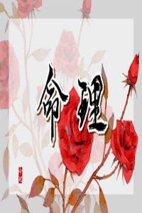 屬雞1993劍鋒金命晚婚 情感淡漠早年立業