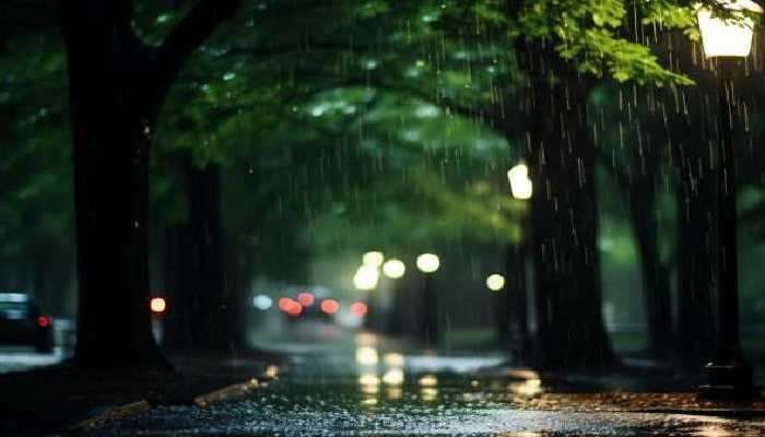 2024谷雨是農歷幾月幾日 2024谷雨是農歷的哪一天