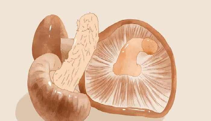 谷雨吃啥菜好 谷雨節氣記得吃的5種菜