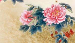 卜算子算命網