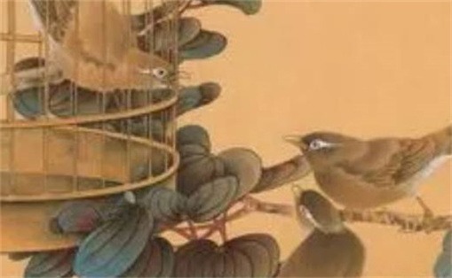 手機號碼招桃花數字 女性手機號桃花運最強