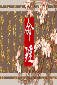 2024年龍年出生運勢如何 事業運勢解析
