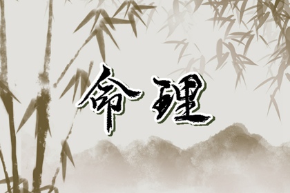 龍年出生在2024運勢如何 會受到兇星劍鋒的影響