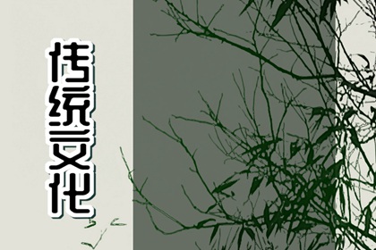 夢見了毛毛蟲代表什么？ 周公解夢(原版)免費查詢大全