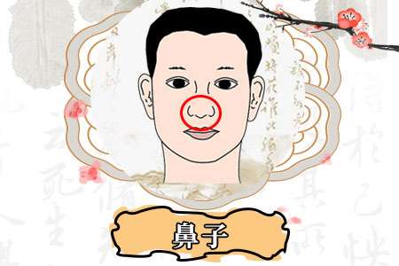 鼻孔外露的財運如何,容易破財的面相