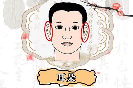 天生無耳垂的人命運(yùn)如何,無耳垂的面相