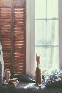 丁火日干的人一生運勢如何