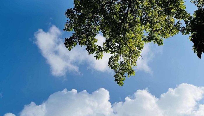 2024年5月5日是什么日子 每年5月5日是什么節日