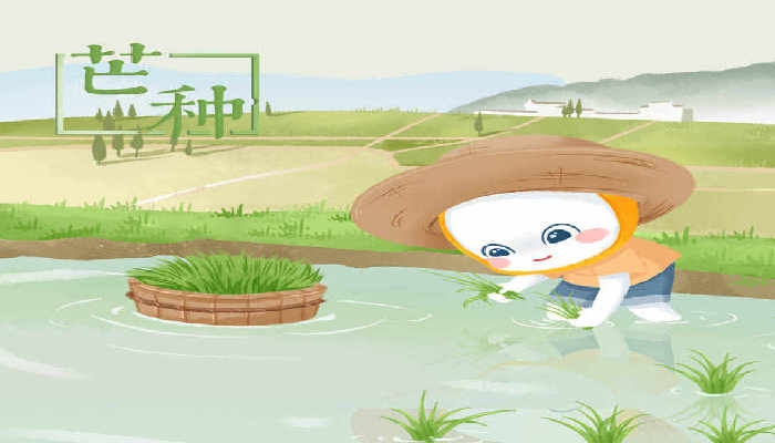 2024年6月5日是什么日子 每年6月5日是什么節日