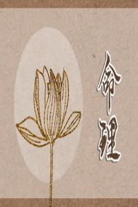 松柏木命幾月生好 農(nóng)歷三月出生才華無(wú)人能比