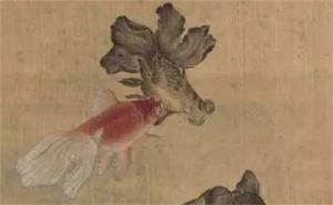 手機號能量從哪位數開始看 免費測手機號打分100分