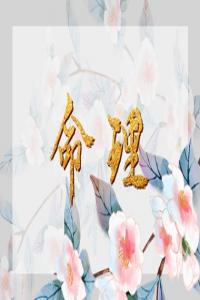 2024年適合結婚八字 庚子日柱女命