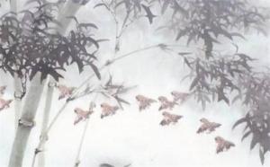 為啥手機號0和5不能選 手機號最旺財的尾數