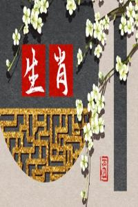 卜算子算命網