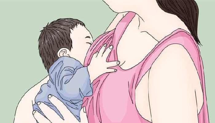 哺乳假6個半月的規定 哺乳假6個半月申請條件