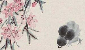 客廳電視兩邊擺什么植物旺財 發財樹紅掌財源滾滾