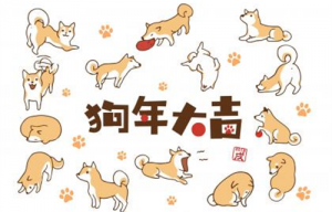 生肖狗2024運勢及運程詳解 屬狗人2024年農歷每月運程