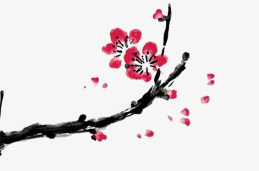 2024年5月4日青年節是最好的動土吉日嗎 宜建房動土嗎