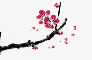 卜算子算命網