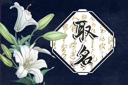好聽有創意的水果店名字 簡潔大氣的水果店名字