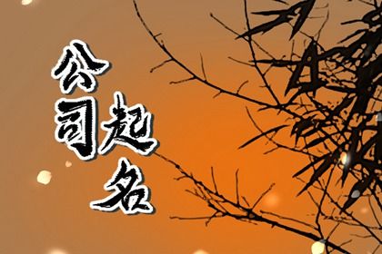 2024龍年高大上的企業名字大全