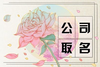 獨特的計算機企業名字合集