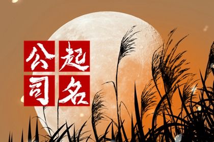 2024龍年專業接地氣的音樂公司名字