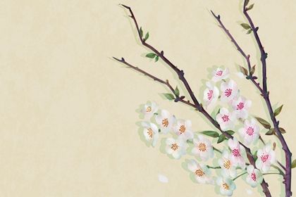 月柱太極貴人華蓋事業運好不好
