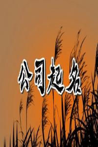 醫藥公司名字高端大氣 吉祥好聽的醫藥公司名字
