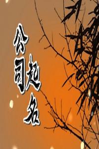 2024龍年高大上的企業名字大全