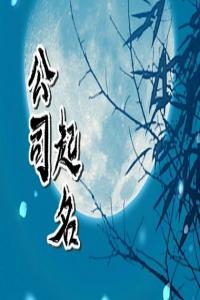 2024龍年有涵養的公司名字
