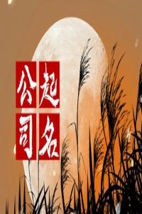 2024龍年專業接地氣的音樂公司名字