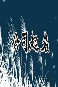 2024龍年好聽有內涵的公司名字