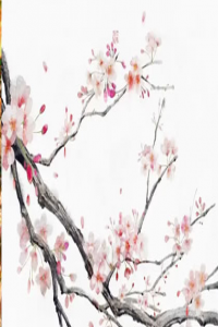 貪狼星和七殺星結(jié)婚相克嗎