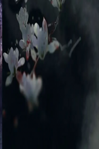 腳踏七星是什么神仙轉世