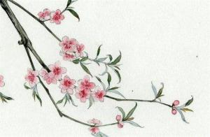 哪一年出生屬于辛丑年 1901年、1961年、2021年、2081年、2141年