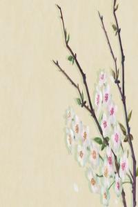 壬戌年出生是帶財庫嗎 壬戌日出生人財運走勢詳解