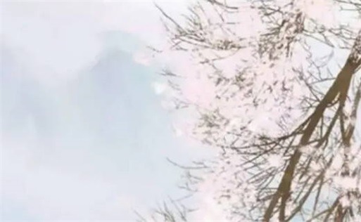 女命什么流年必結婚 女命流年印到必結婚