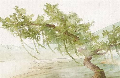 流年桃花是什么意思 桃花流年會發生什么