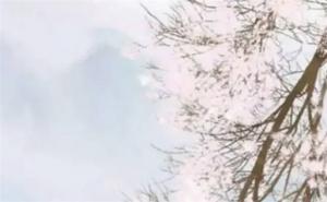 女命什么流年必結婚 女命流年印到必結婚