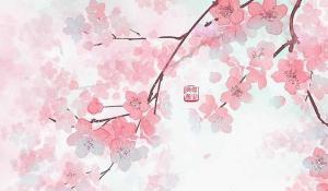 卜算子算命網