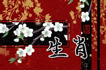 8月財(cái)運(yùn)最好的生肖2024年 生肖鼠機(jī)智洞察財(cái)富增長