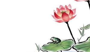 卜算子算命網