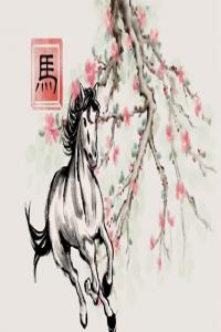 牛馬相害到底有多嚴重 生肖沖突中的微妙關系
