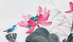 卜算子算命網