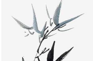 卜算子算命網